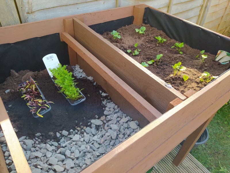 Nevis - Large Vegetable Planter